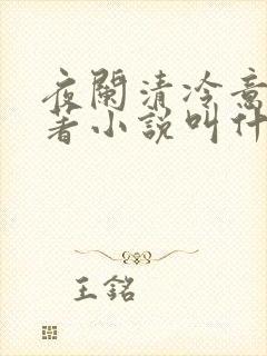 夜阑清冷意欢原著小说叫什么