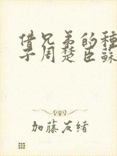 借兄弟的种生孩子周楚臣苏糖