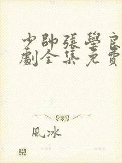 少帅张学良电视剧全集免费观看高清封面