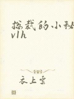 总裁的小秘书1v1h封面