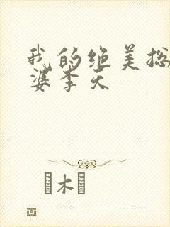 我的绝美总裁老婆李天