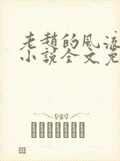 老赵的风流人生小说全文免费阅读封面