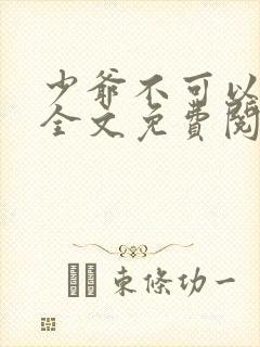 少爷不可以小说全文免费阅读无弹窗封面