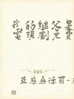 我的继父是偶像电视剧免费观看完整版封面