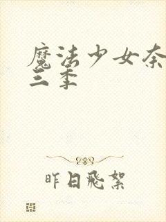 魔法少女奈叶第三季封面