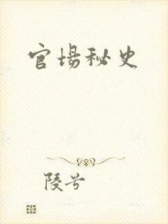 官场秘史