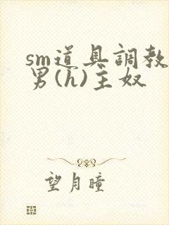 sm道具调教男男(h)主奴