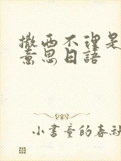 撒西不理是什么意思日语封面