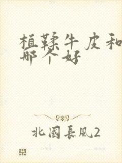 植鞣牛皮和牛皮哪个好