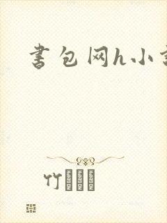 书包网h小说封面