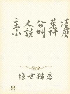 主人公叶凌天的小说叫什么名字封面