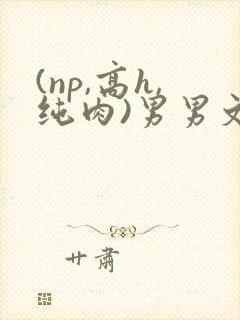(np,高h,纯肉)男男文封面