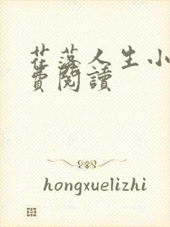 花落人生小说免费阅读