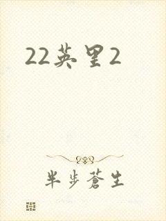 22英里2封面