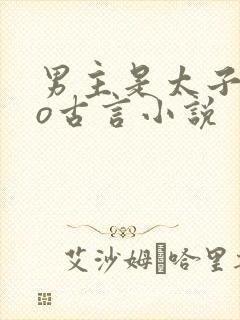 男主是太子的po古言小说