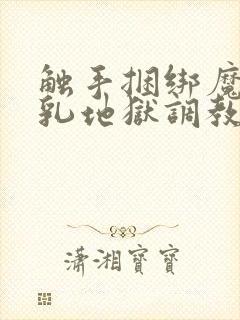 触手捆绑魔女榨乳地狱调教小说