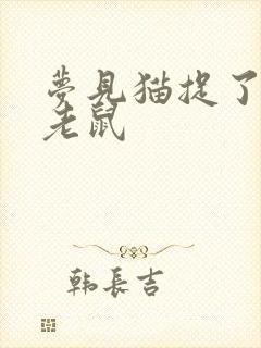 梦见猫捉了一只老鼠