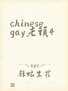 chinesegay老头4