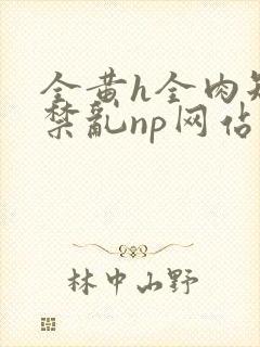 全黄h全肉短篇禁乱np网站