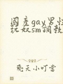 国产gay男性玩奴sm调教封面