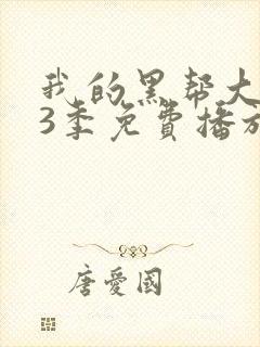 我的黑帮大佬第3季免费播放在线观看