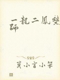 一龙二凤双飞老师封面