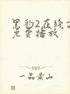 黑豹2在线高清免费播放