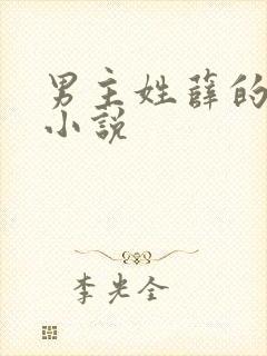 男主姓薛的全部小说