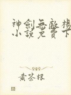 神剑无敌杨小天小说免费下载