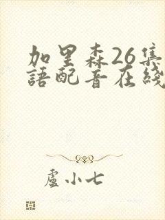 加里森26集国语配音在线观看免费