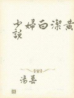 少妇白洁黄色小说封面