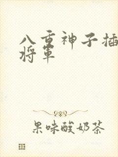 八重神子插雷电将军