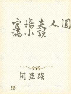 官场夫人圆润饱满小说