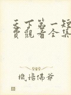 天下第一短剧免费观看全集完整版