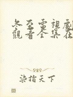 冬至电视剧免费观看全集在线播放