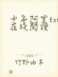 少年阿宾txt在线阅读