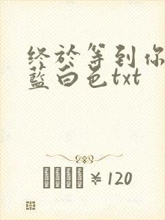 终于等到你小说蓝白色txt