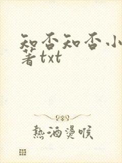 知否知否小说原著txt封面