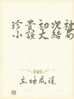 珍贵初次被夺走小说大结局