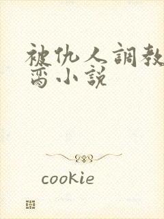 被仇人调教成禁脔小说