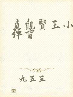 贞观贤王小说无弹窗