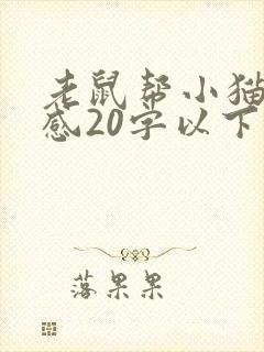 老鼠帮小猫读后感20字以下