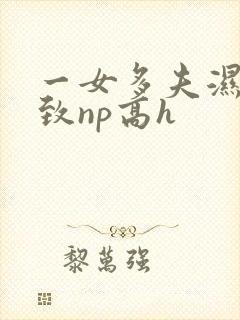 一女多夫湿润紧致np高h封面