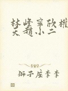 林峰宁欣权势滔天赵小二封面