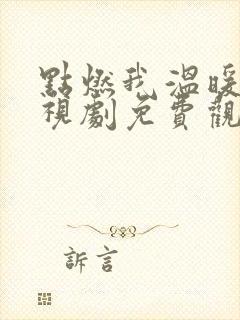 点燃我温暖你电视剧免费观看36集全