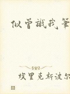 似曾识我笔趣阁