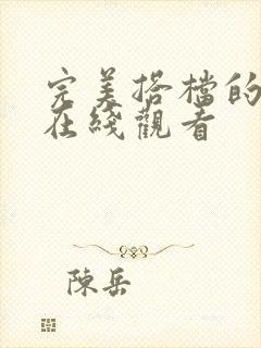 完美搭档的电影在线观看