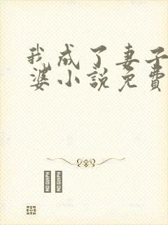 我成了妻子的老婆小说免费阅读全文