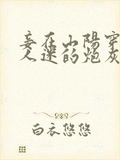 妾在山阳穿成万人迷的炮灰竹马