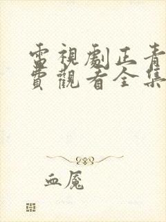 电视剧正青春免费观看全集高清